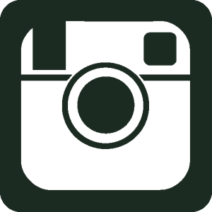 1461713307_instagram